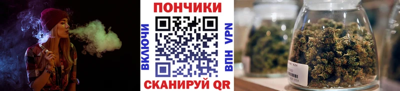 Купить закладки  Петровск-Забайкальский  Каннабис сатива 